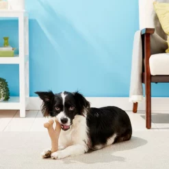 Ethical Pet Sales Shop -Ethical Pet Sales Shop 152212 PT1. SY630 V1545255511