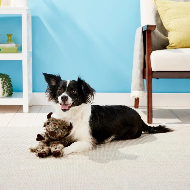 Ethical Pet Furzz Buffalo Squeaky Plush Dog Toy 4 Ethical Pet Furzz Buffalo Squeaky Plush Dog Toy - Image 2