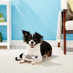 Ethical Pet Long Jax Squeaky Plush Dog Toy, Character Varies -Ethical Pet Sales Shop 152229 PT2. SY630 V1545255882