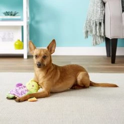 Ethical Pet Lil Spots Squeaky Plush Blanket Puppy Toy, Character Varies -Ethical Pet Sales Shop 154203 PT2. SY630 V1554127514