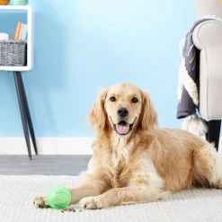 Ethical Pet Dura Brite Treat Dispenser Ball Dog Toy, Color Varies -Ethical Pet Sales Shop 154205 PT2. SY630 V1554127554