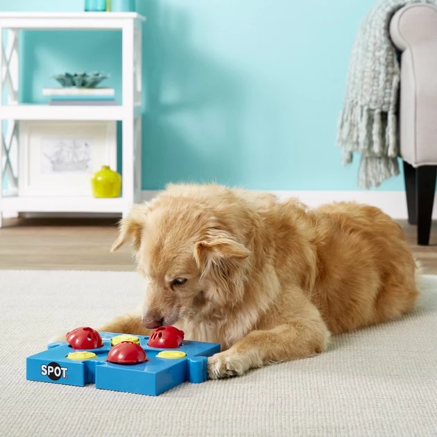 Ethical Pet Seek-A-Treat Flip N Slide Puzzle Dog Toy 4 Ethical Pet Seek-A-Treat Flip N Slide Puzzle Dog Toy - Image 2