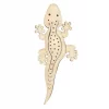 Ethical Pet Leather Skinneeez Lizard Stuffing-Free Dog Toy, Color Varies 1 Ethical Pet Leather Skinneeez Lizard Stuffing-Free Dog Toy, Color Varies -Ethical Pet Sales Shop 189268 Main. SY630 V1566835943