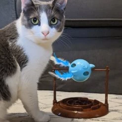 Ethical Pet Doc & Phoebe Twirly Bird Cat Feeder, Blue/Brown 16 Ethical Pet Doc & Phoebe Twirly Bird Cat Feeder, Blue/Brown -Ethical Pet Sales Shop 316064 PT6. SY630 V1631765809