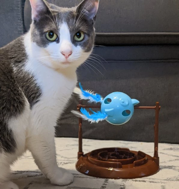 Ethical Pet Doc & Phoebe Twirly Bird Cat Feeder, Blue/Brown 9 Ethical Pet Doc & Phoebe Twirly Bird Cat Feeder, Blue/Brown - Image 7