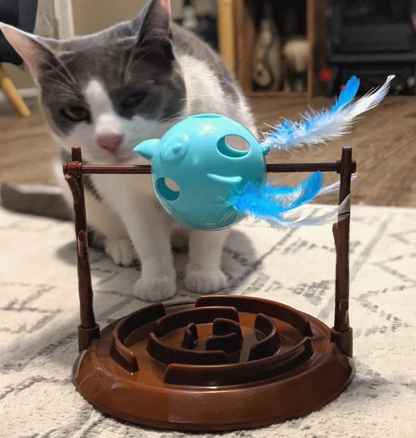 Ethical Pet Doc & Phoebe Twirly Bird Cat Feeder, Blue/Brown 10 Ethical Pet Doc & Phoebe Twirly Bird Cat Feeder, Blue/Brown - Image 8