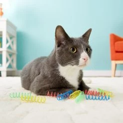 Ethical Pet Thin Colorful Springs Cat Toy -Ethical Pet Sales Shop 71298 PT8. SY630 V1506968409
