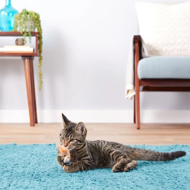 Ethical Pet Skinneeez Barnyard Creature Stuffing-Free Plush Cat Toy with Catnip, Color Varies 4 Ethical Pet Skinneeez Barnyard Creature Stuffing-Free Plush Cat Toy with Catnip, Color Varies - Image 2