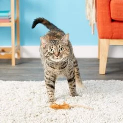 Ethical Pet Skinneeez Mouse Cat Toy with Catnip, Color Varies -Ethical Pet Sales Shop 71314 PT5. SY630 V1525718885