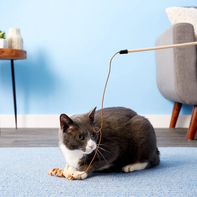 Ethical Pet Skinneeez Friend Teaser Wand Cat Toy with Catnip 6 Ethical Pet Skinneeez Friend Teaser Wand Cat Toy with Catnip - Image 4