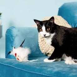 Ethical Pet Birds Of A Feather Plush Cat Toy with Catnip, Color Varies -Ethical Pet Sales Shop 71331 PT5. SY630 V1525718935