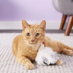 Ethical Pet Birds Of A Feather Plush Cat Toy with Catnip, Color Varies -Ethical Pet Sales Shop 71331 PT6. SY630 V1527256367