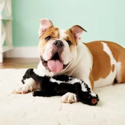 Ethical Pet Skinneeez Forest Series Skunk Stuffing-Free Squeaky Plush Dog Toy -Ethical Pet Sales Shop 71347 PT7. SY630 V1527093166