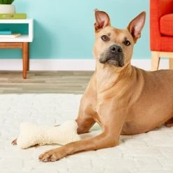 Ethical Pet Fleece Bone Squeaky Tough Plush Dog Toy 8 Ethical Pet Fleece Bone Squeaky Tough Plush Dog Toy -Ethical Pet Sales Shop 71366 PT1. SY630 V1545172669