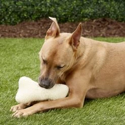 Ethical Pet Fleece Bone Squeaky Tough Plush Dog Toy 9 Ethical Pet Fleece Bone Squeaky Tough Plush Dog Toy -Ethical Pet Sales Shop 71366 PT2. SY630 V1545172681