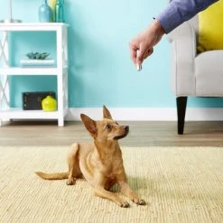 Ethical Pet Laser Exerciser Original 2 in 1 Dog & Cat Toy -Ethical Pet Sales Shop 71427 PT4. SY630 V1553880425