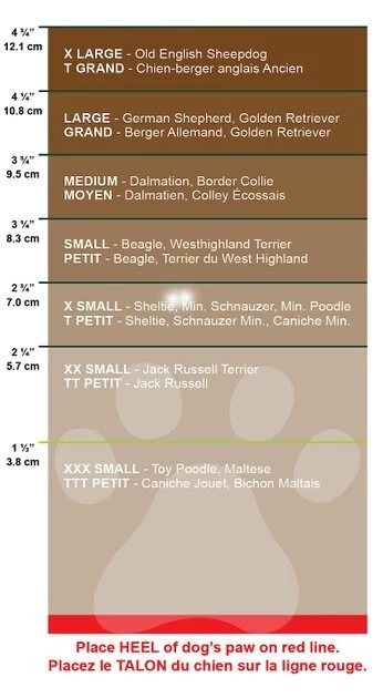 Ethical Pet Fashion Lookin' Good Extreme All Weather Boots, 4 count 4 Ethical Pet Fashion Lookin' Good Extreme All Weather Boots, 4 count - Image 2