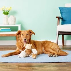 Ethical Pet Moppet Monkey Squeaky Plush Dog Toy -Ethical Pet Sales Shop 71464 PT7. SY630 V1527093254