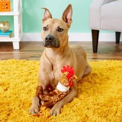 Ethical Pet Skinneeez Barnyard Series Chicken Stuffing-Free Squeaky Plush Dog Toy 9 Ethical Pet Skinneeez Barnyard Series Chicken Stuffing-Free Squeaky Plush Dog Toy -Ethical Pet Sales Shop 71466 PT3. SY630 V1530545034