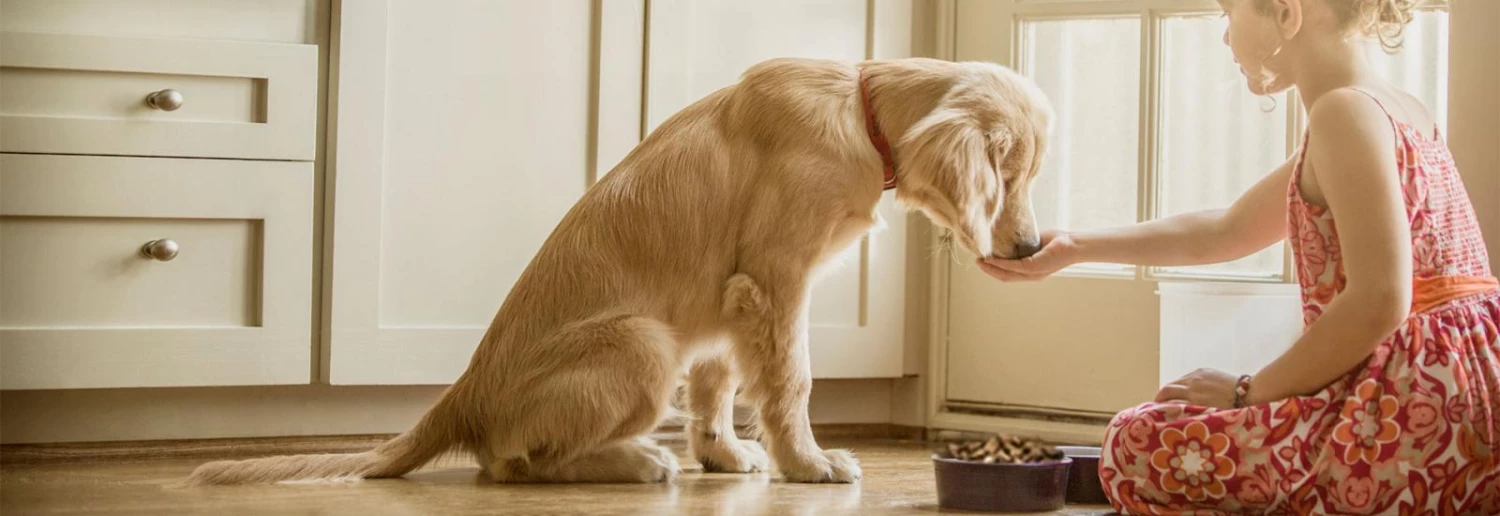 Ethical Pet Sales Shop 3 Ethical Pet Sales Shop -Ethical Pet Sales Shop 728