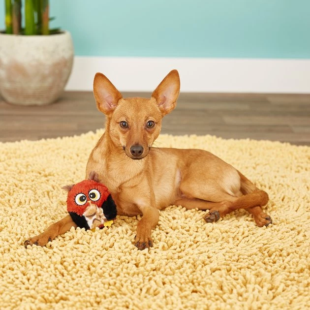 Ethical Pet Hoots Owl Squeaky Plush Dog Toy, Color Varies 7 Ethical Pet Hoots Owl Squeaky Plush Dog Toy, Color Varies - Image 6