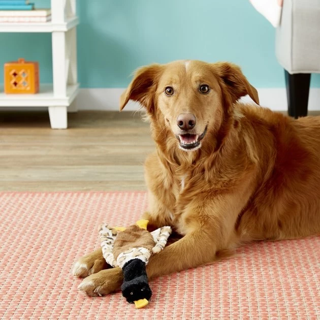 Ethical Pet Skinneeez Crinklers Bird Stuffing-Free Squeaky Plush Dog Toy, Color Varies 4 Ethical Pet Skinneeez Crinklers Bird Stuffing-Free Squeaky Plush Dog Toy, Color Varies - Image 2