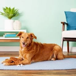 Ethical Pet Skinneeez Tons-O-Squeakers Walrus Stuffing-Free Squeaky Plush Dog Toy -Ethical Pet Sales Shop 85051 PT7. SY630 V1527093508