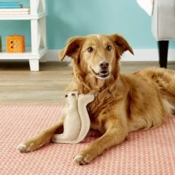 Ethical Pet Dura-Fused Leather Squirrel Dog Toy -Ethical Pet Sales Shop 90212 PT7. SY630 V1527093438