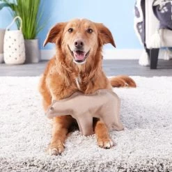 Ethical Pet Dura-Fused Leather Bear Dog Toy 10 Ethical Pet Dura-Fused Leather Bear Dog Toy -Ethical Pet Sales Shop 90218 PT3. SY630 V1530912979