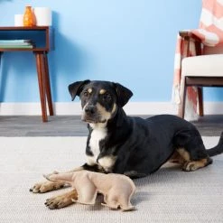 Ethical Pet Dura-Fused Leather Bear Dog Toy 11 Ethical Pet Dura-Fused Leather Bear Dog Toy -Ethical Pet Sales Shop 90218 PT4. SY630 V1530912266