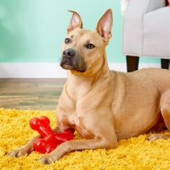 Ethical Pet Play Strong Rubber Trident Tough Dog Chew Toy 9 Ethical Pet Play Strong Rubber Trident Tough Dog Chew Toy -Ethical Pet Sales Shop 90308 PT7. SY630 V1527093846