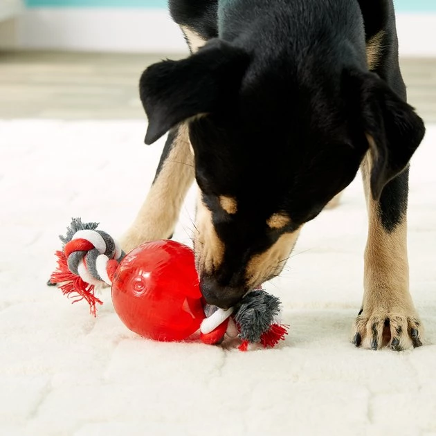 Ethical Pet Play Strong Ball & Rope Tough Dog Chew Toy 4 Ethical Pet Play Strong Ball & Rope Tough Dog Chew Toy - Image 2