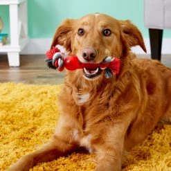 Ethical Pet Play Strong Bone & Rope Tough Dog Chew Toy -Ethical Pet Sales Shop 90318 PT7. SY630 V1527094037