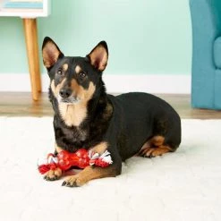 Ethical Pet Play Strong Bone & Rope Tough Dog Chew Toy -Ethical Pet Sales Shop 90318 PT8. SY630 V1531549938